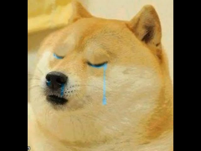 Doge your legacy will never end - Cheems tribute