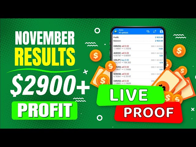 Forex Results for NOVEMBER 2020 - Easy Forex Pips