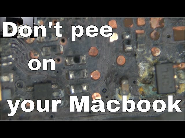 Don't pee on your Macbook!