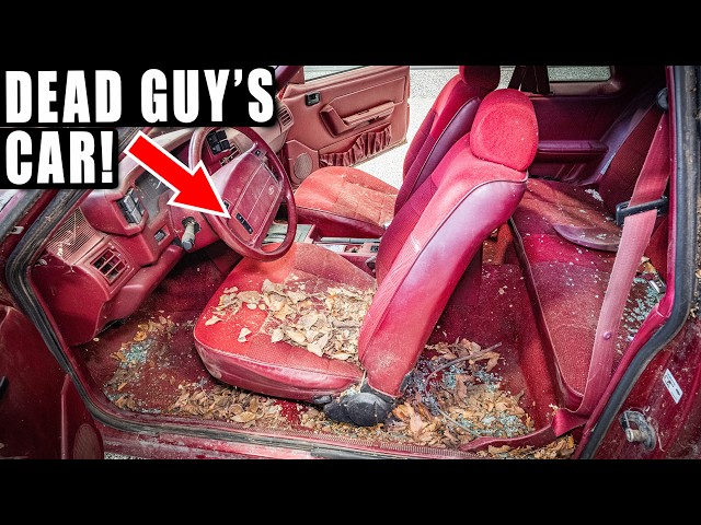 Cleaning a Dead Guy's ABANDONED Mustang!