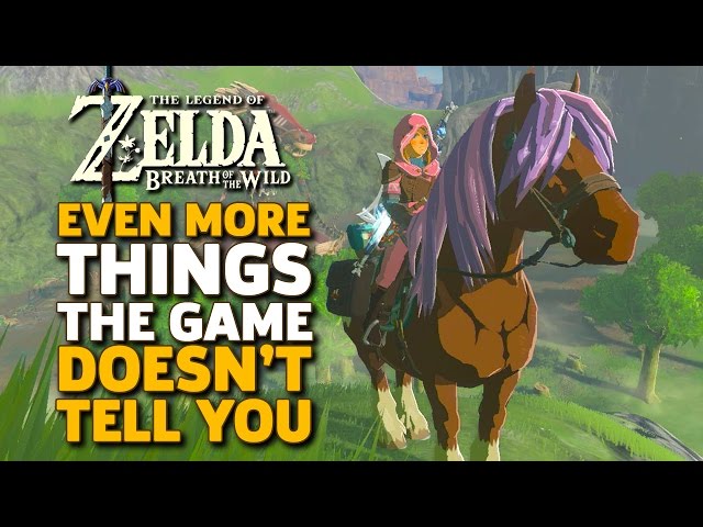 Even More Things I Wish I Knew Before I Started Zelda: Breath of the Wild