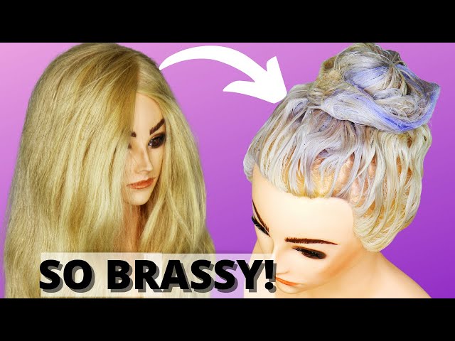 Does Purple Shampoo Actually Work? | SHOCKING Results!