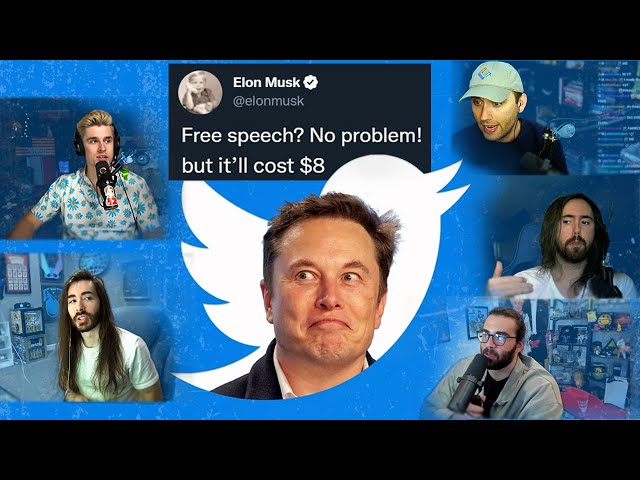 Top Streamers Split on Elon Musk’s Changes at Twitter