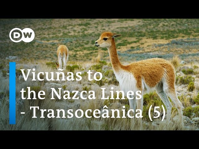From Rio to Lima – Transoceânica, the world's longest bus journey (5/5) | DW Documentary
