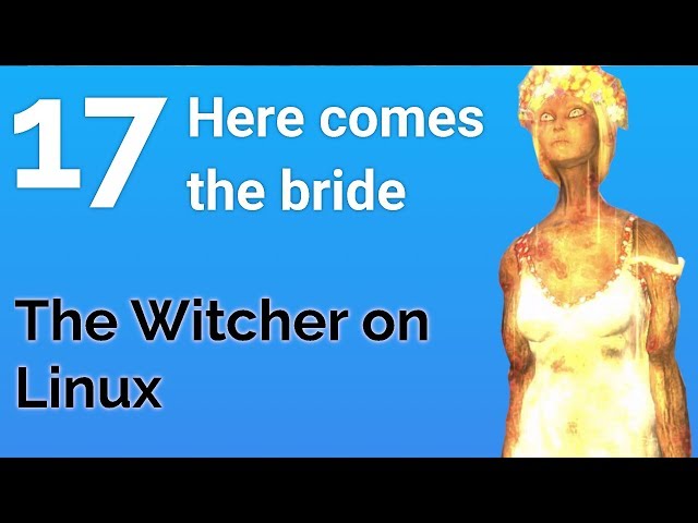 Pleasant Peasantry - The Witcher on Linux - Part 17