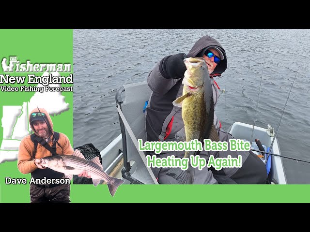 March 21st 2024 New England Video Fishing Forecast with Dave Anderson