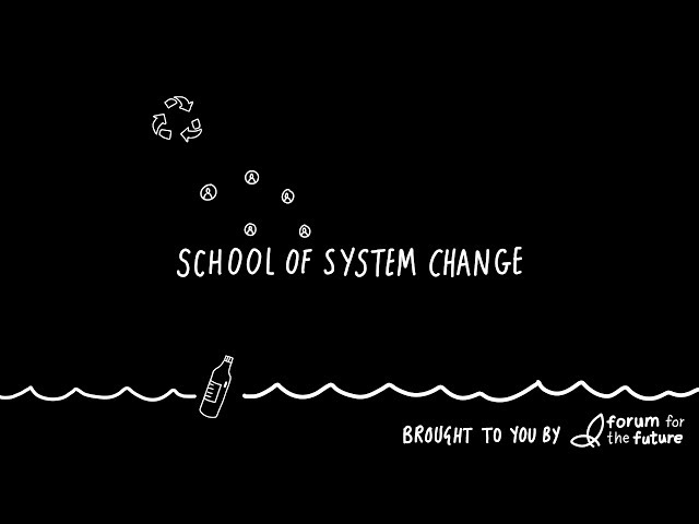 School of System Change