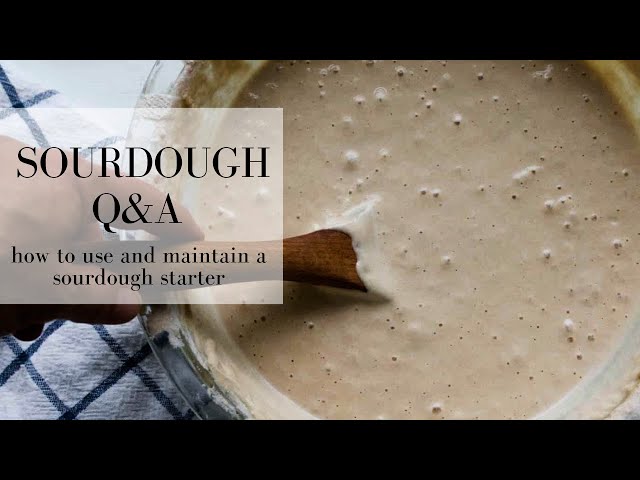 Sourdough Q & A | SOURDOUGH STARTER GUIDE | Farmhouse on Boone