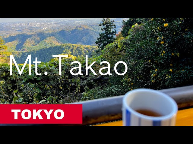 How to visit Mt.Takao - Tokyo's Most Popular Day Trip destination