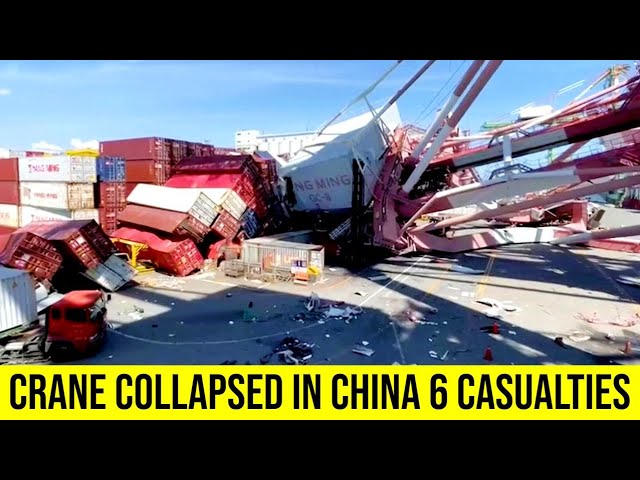 A crane has collapsed at a China bridge construction project, killing 6 people.