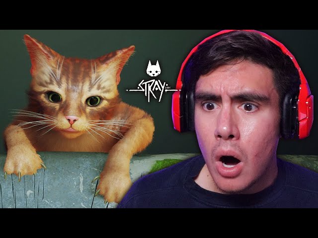 I NEVER THOUGHT I'D SEE THE DAY WHERE I BECAME A LOVER OF CATS..UNTIL NOW | Stray [1]
