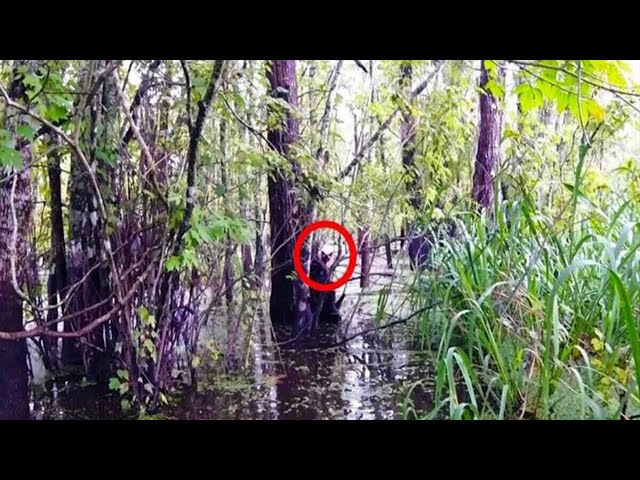 If This Incredible Discovery Hadn’t Been Filmed, No One Would Have Believed It!