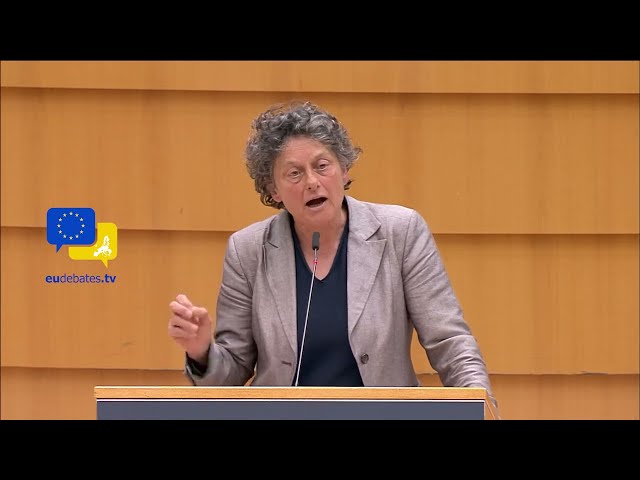 MEP Tineke Strik debates European Union's migration and EU asylum policy