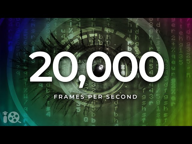 What Frame Rate is Needed to Simulate Reality?