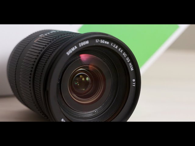 Can this $250 Lens replace ALL of your lenses? - Sigma 17-50 F/2.8 Review