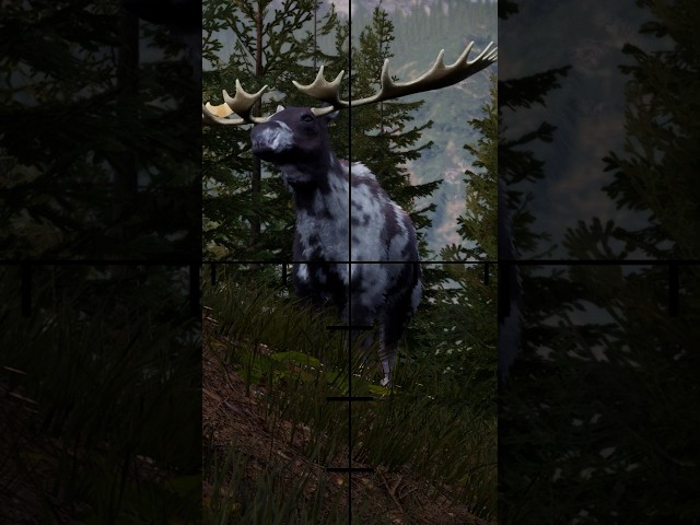 Another Legendary Moose...But Still Not The Ultimate Trophy - Hunting Simulator 2 [PC] #shorts