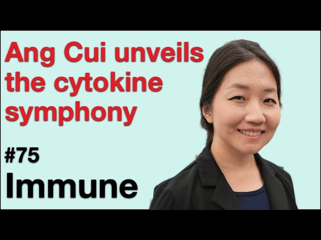 Immune 75: Ang Cui unveils the cytokine symphony