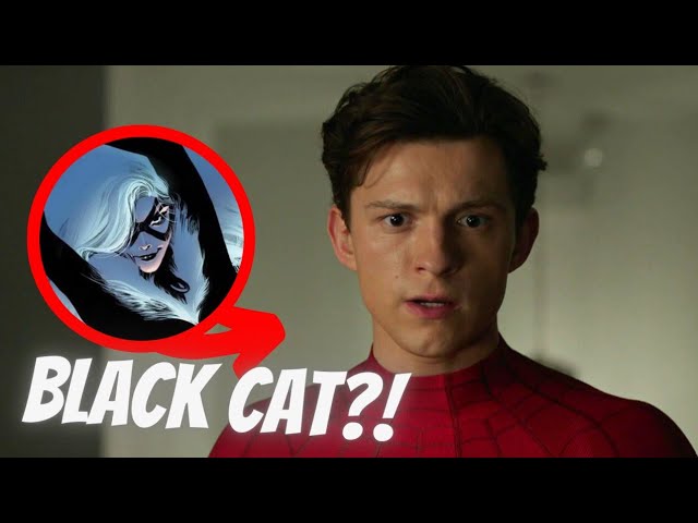 BLACK CAT IN SPIDER-MAN 4?! Director Search Continues!