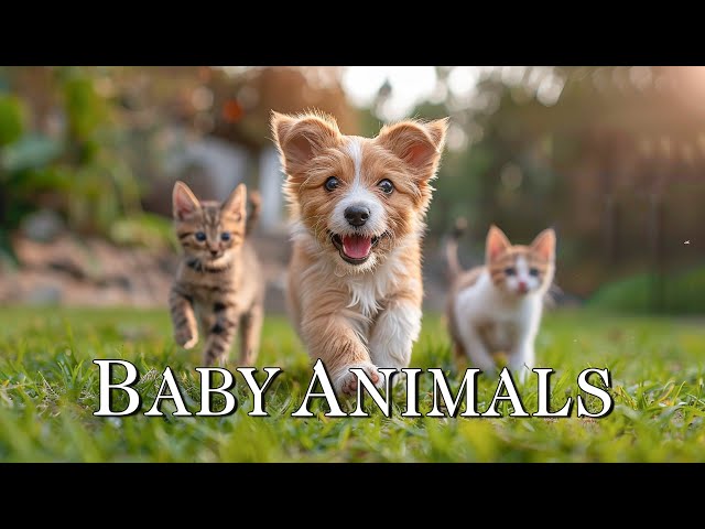 Relaxing Music to Relieve Stress, Healing Calm & Deep Inner Peace - Baby Animals