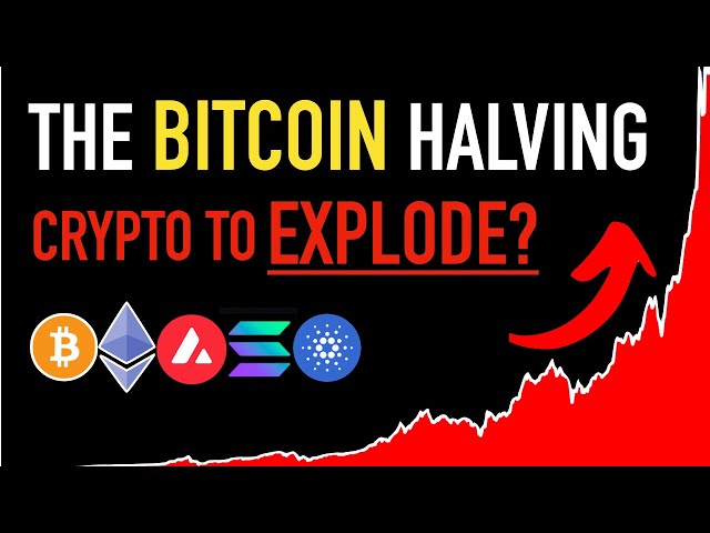 The Bitcoin Halving: Crypto To Explode? 💰💰💰 Must See!