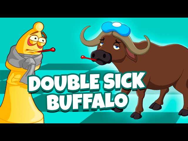 What Is A Double Sick Buffalo? | Chess Terms | ChessKid