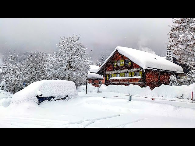 Heavy snowfall in Klosters ❄️ Switzerland 4K 🇨🇭