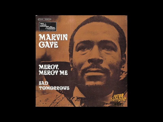 Marvin Gaye - Mercy Mercy Me (FUTUR Sample EDIT 1 Hour)