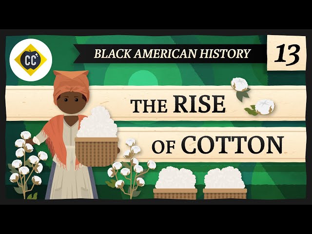 The Rise of Cotton: Crash Course Black American History #13