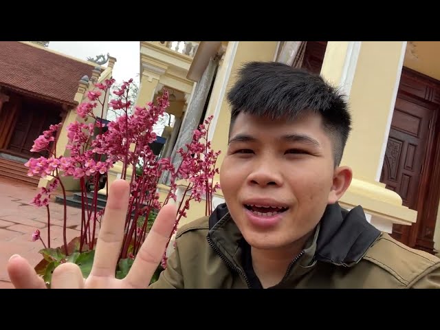 Vlog Đời Sống Ở Quê - Hoa của Cây Sen Đất