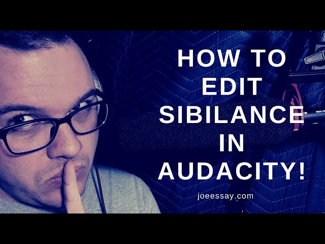 How To Edit Sibilance In Audacity!