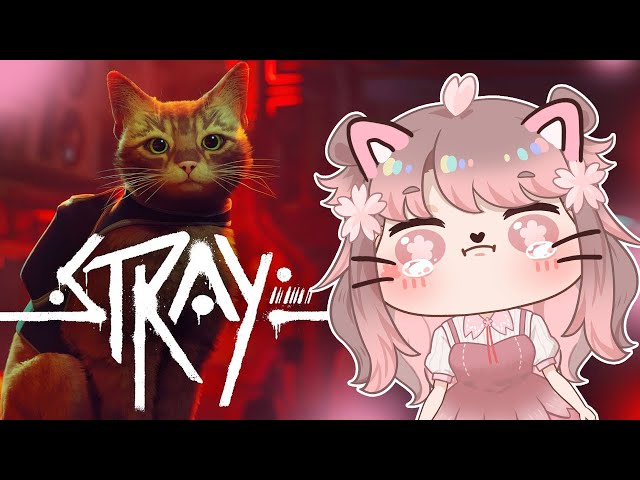 that day I got reincarnated as a cat - Playing this cat game Stray