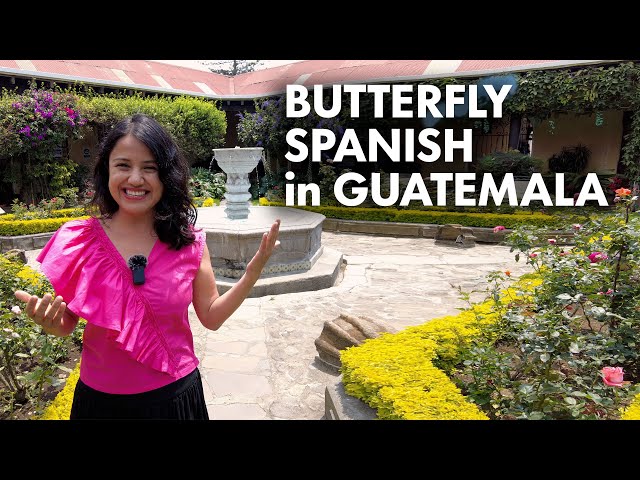 Explore Guatemala with Butterfly Spanish!
