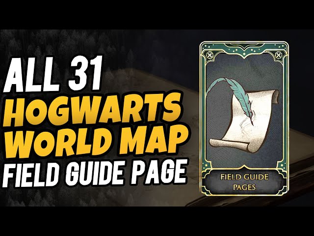 All 31 Field Pages Guide in World Map (Highland) |  Hogwarts Legacy