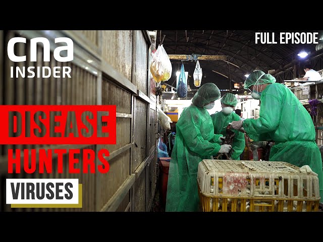 Meet The Virus Hunters: Before The Next Pandemic Strikes | Disease Hunters | Part 1/3