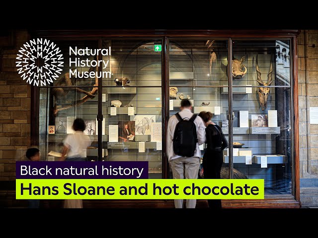 Untold stories: Hans Sloane and hot chocolate | Black natural history