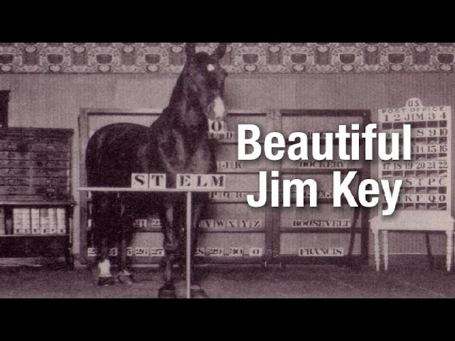 Beautiful Jim Key  - the world's smartest horse