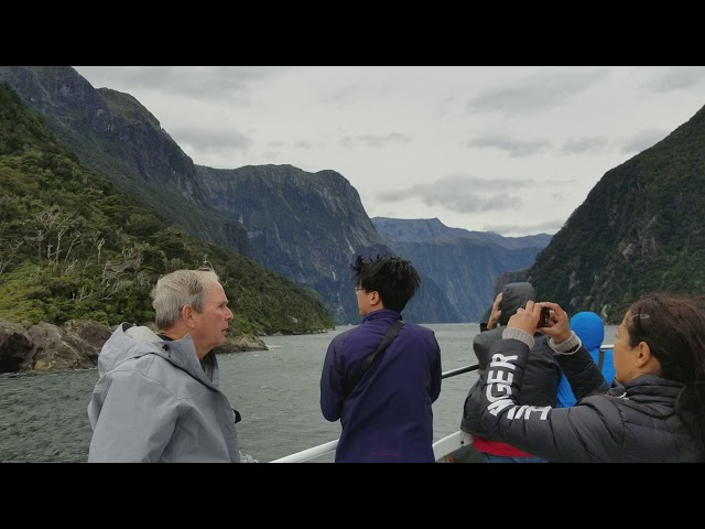 Milford Sound Nature Cruise pt2