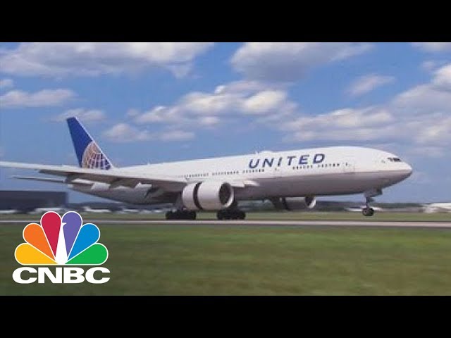 United Halts Shipments Of Pets After A Puppy's Death And Dog Mix-Ups Bring Bad Publicity | CNBC