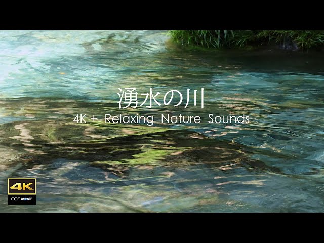 4K natural sound / The Enbara River where amazingly beautiful underground water flows