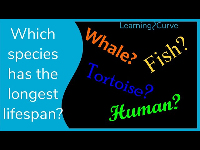 Which organisms have the longest life