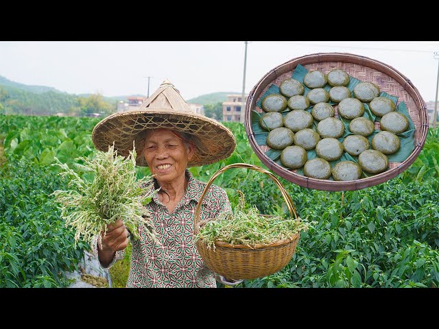 同樣是艾草，為何田艾最少人懂？ 但做糍粑，味道是真不錯Guangxi grandma picks wild grass to make traditional food#艾草  广西 美食｜ 玉林阿婆