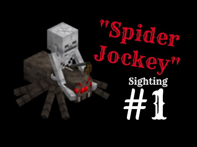 SPIDER JOCKEY SIGHTING #1 |  My Very First Sighting!!