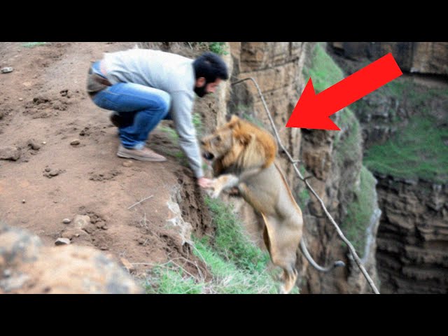 1 IN A MILLION Animal Moments Caught On Camera!