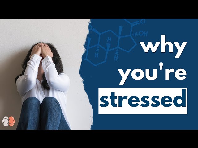 The “Stress Hormone” Doesn’t Exist