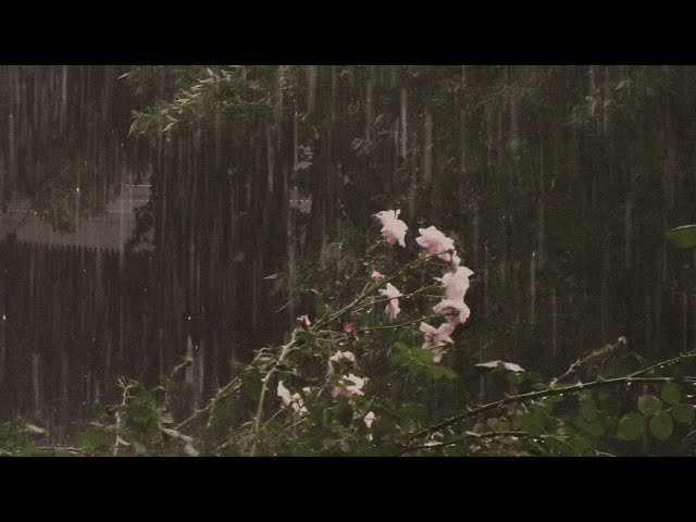 a comfort playlist to listen to the heavy rain until it clears up