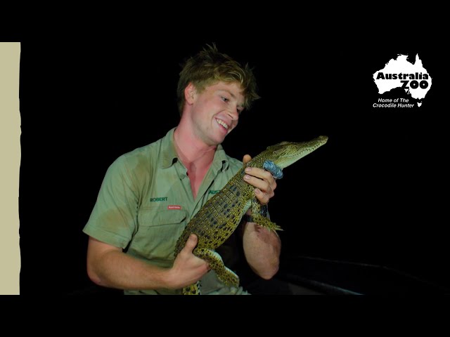 A look back at Croc Trip 2022 | Wildlife Warriors Missions