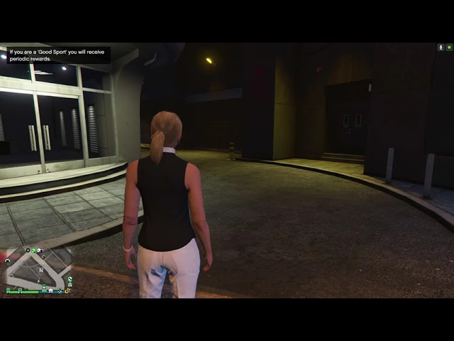 A Normal Day in GTA Online