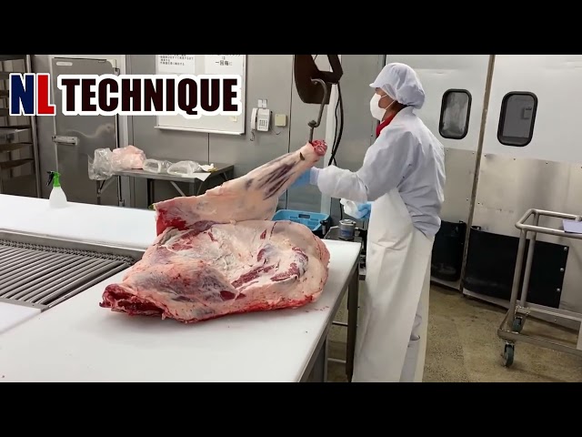 How $1000 Black Kobe Beef is Produced in a Modern Farm in Japan - Most Expensive Beef in the World