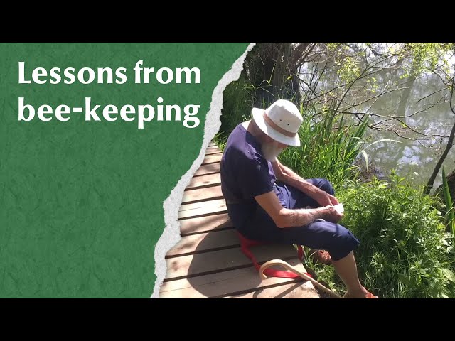 Lessons from bee-keeping