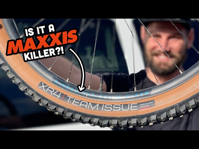 What I Learned Riding the Bontrager XR4 Tire